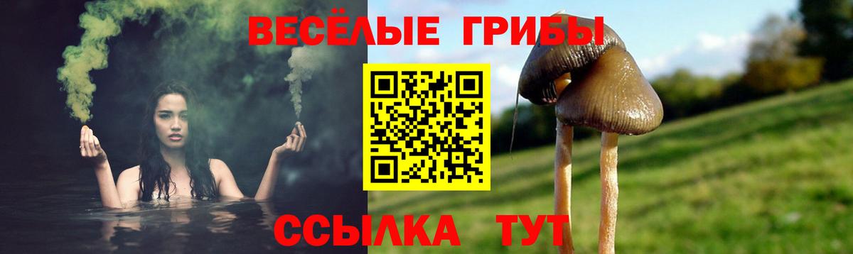 Галлюциногенные грибы Cubensis Электросталь